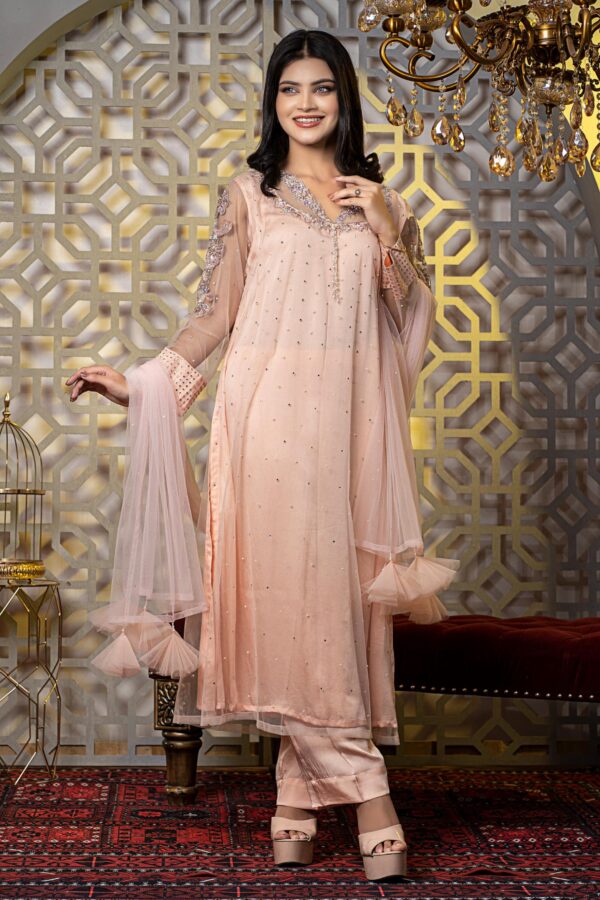 Peach puff  Net straight kameez with all over pearls and gorgeous Zardosi neck