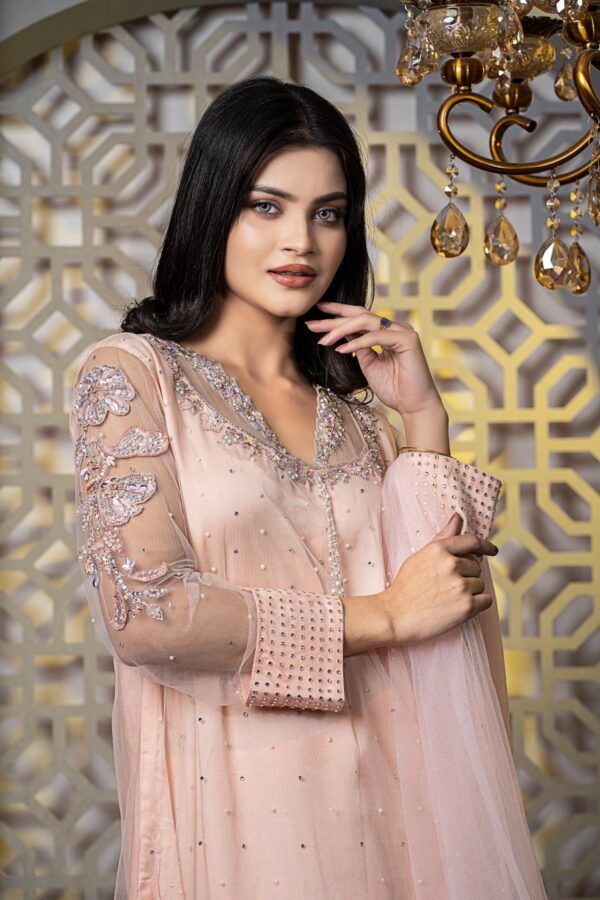 Peach puff  Net straight kameez with all over pearls and gorgeous Zardosi neck - Image 2